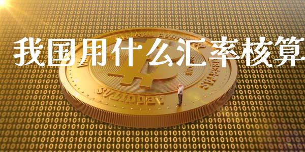 我国用什么汇率核算_https://m.gongyisiwang.com_保险理财_第1张