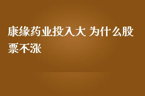 康缘药业投入大 为什么股票不涨_https://m.gongyisiwang.com_信托投资_第1张