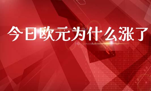 今日欧元为什么涨了_https://m.gongyisiwang.com_债券咨询_第1张