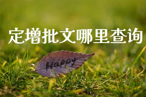 定增批文哪里查询_https://m.gongyisiwang.com_财经咨询_第1张