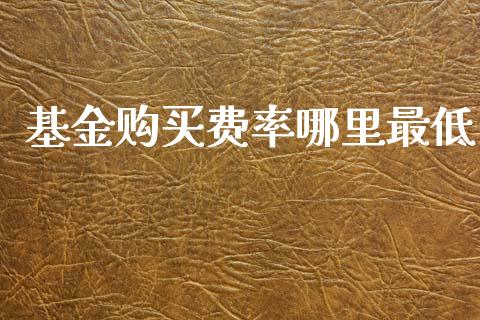 基金购买费率哪里最低_https://m.gongyisiwang.com_保险理财_第1张