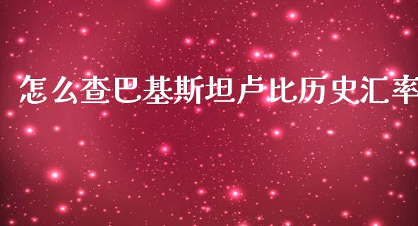 怎么查巴基斯坦卢比历史汇率_https://m.gongyisiwang.com_商业资讯_第1张