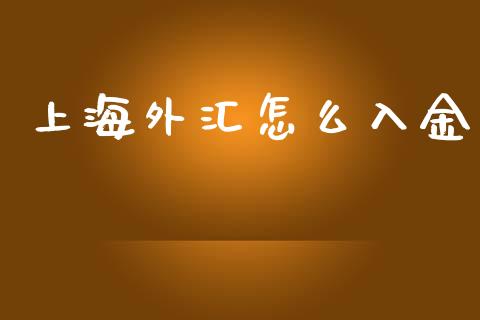 上海外汇怎么入金_https://m.gongyisiwang.com_财经咨询_第1张