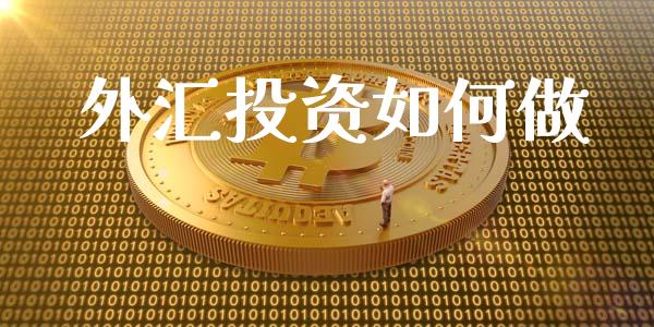 外汇投资如何做_https://m.gongyisiwang.com_财经咨询_第1张