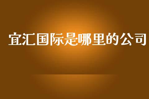 宜汇国际是哪里的公司_https://m.gongyisiwang.com_理财投资_第1张