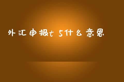 外汇申报t 5什么意思_https://m.gongyisiwang.com_财经时评_第1张