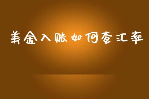 美金入账如何查汇率_https://m.gongyisiwang.com_财经时评_第1张