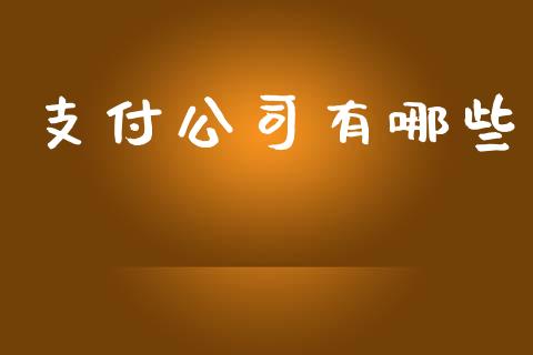 支付公司有哪些_https://m.gongyisiwang.com_商业资讯_第1张