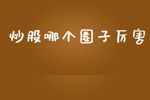 炒股哪个圈子厉害_https://m.gongyisiwang.com_保险理财_第1张