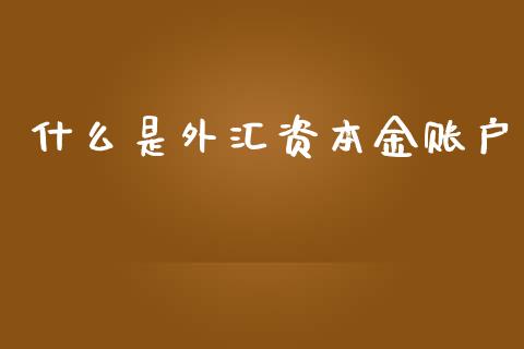 什么是外汇资本金账户_https://m.gongyisiwang.com_理财产品_第1张