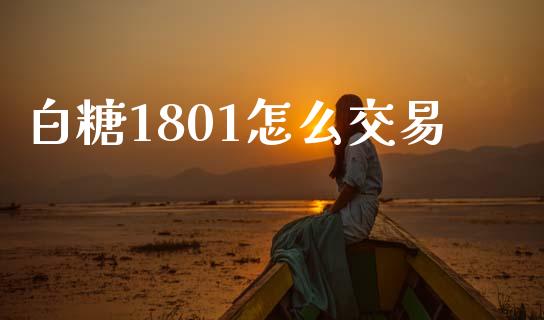 白糖1801怎么交易_https://m.gongyisiwang.com_财经咨询_第1张