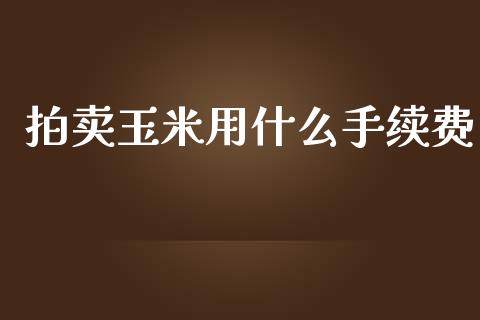 拍卖玉米用什么手续费_https://m.gongyisiwang.com_理财投资_第1张