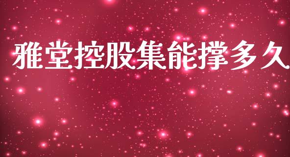 雅堂控股集能撑多久_https://m.gongyisiwang.com_信托投资_第1张