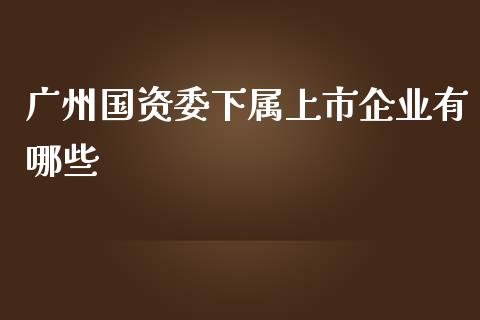 广州国资委下属上市企业有哪些_https://m.gongyisiwang.com_信托投资_第1张