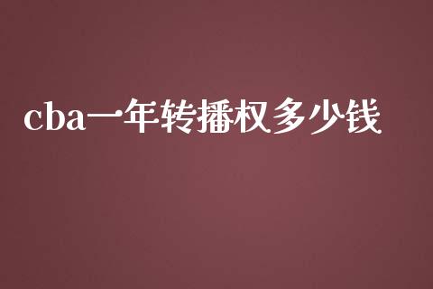 cba一年转播权多少钱_https://m.gongyisiwang.com_商业资讯_第1张