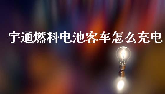 宇通燃料电池客车怎么充电_https://m.gongyisiwang.com_理财产品_第1张