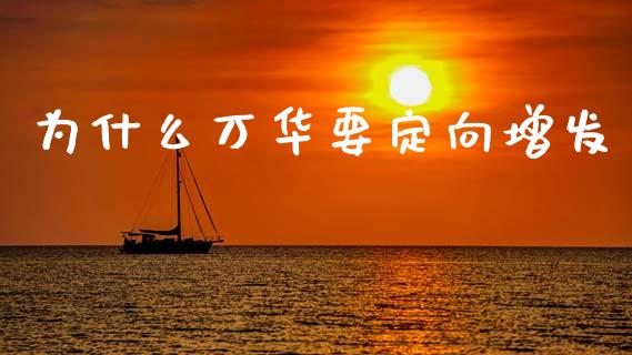 为什么万华要定向增发_https://m.gongyisiwang.com_保险理财_第1张