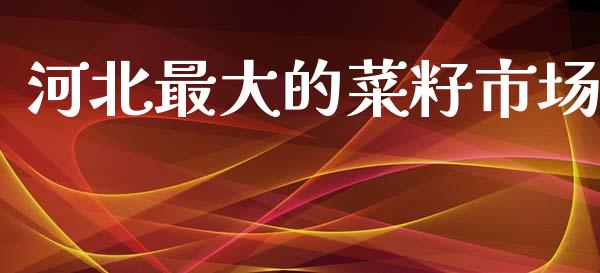 河北最大的菜籽市场_https://m.gongyisiwang.com_理财投资_第1张