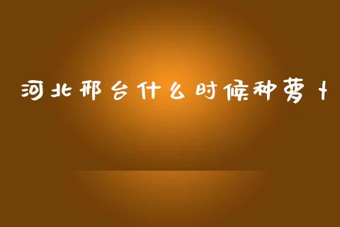 河北邢台什么时候种萝卜_https://m.gongyisiwang.com_理财投资_第1张