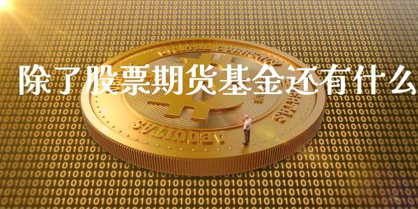 除了股票期货基金还有什么_https://m.gongyisiwang.com_商业资讯_第1张