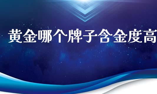 黄金哪个牌子含金度高_https://m.gongyisiwang.com_保险理财_第1张