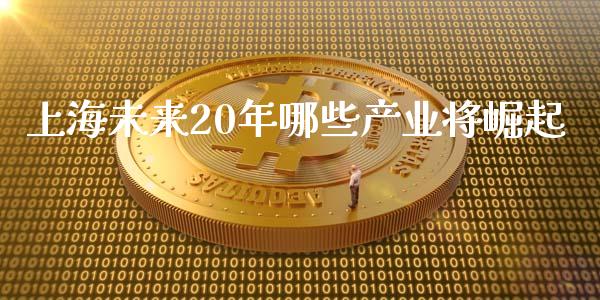 上海未来20年哪些产业将崛起_https://m.gongyisiwang.com_财经时评_第1张