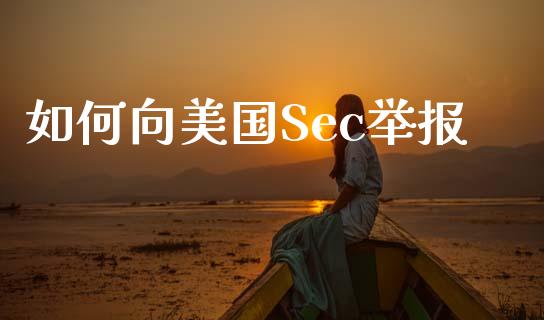 如何向美国Sec举报_https://m.gongyisiwang.com_信托投资_第1张