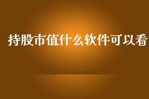 持股市值什么软件可以看_https://m.gongyisiwang.com_财经咨询_第1张