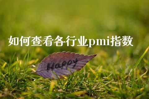 如何查看各行业pmi指数_https://m.gongyisiwang.com_商业资讯_第1张