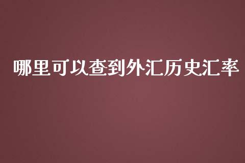 哪里可以查到外汇历史汇率_https://m.gongyisiwang.com_财经咨询_第1张