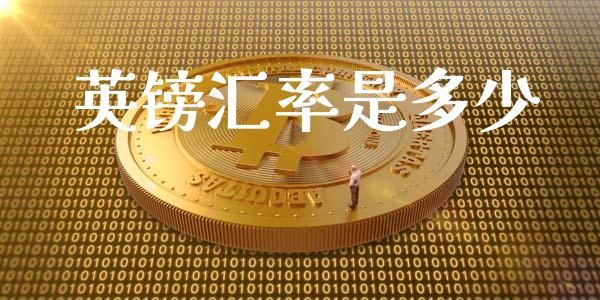 英镑汇率是多少_https://m.gongyisiwang.com_信托投资_第1张