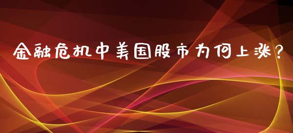 金融危机中美国股市为何上涨？_https://m.gongyisiwang.com_理财投资_第1张