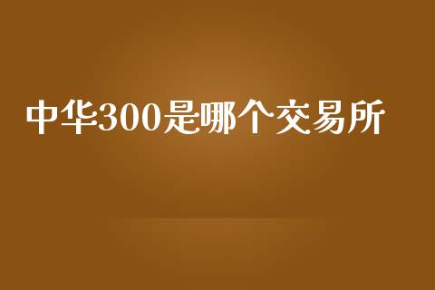 中华300是哪个交易所_https://m.gongyisiwang.com_财经时评_第1张