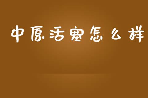 中原活塞怎么样_https://m.gongyisiwang.com_财经咨询_第1张