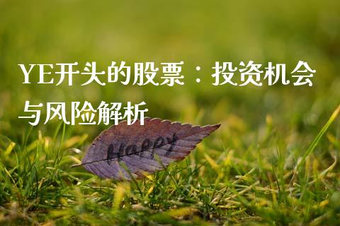 YE开头的股票：投资机会与风险解析_https://m.gongyisiwang.com_信托投资_第1张