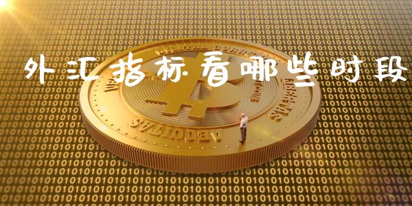 外汇指标看哪些时段_https://m.gongyisiwang.com_债券咨询_第1张