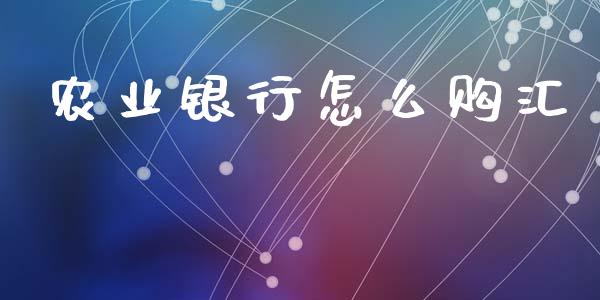 农业银行怎么购汇_https://m.gongyisiwang.com_信托投资_第1张