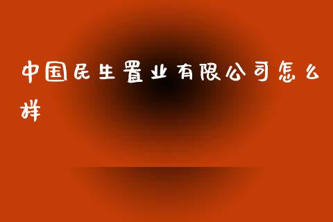 中国民生置业有限公司怎么样_https://m.gongyisiwang.com_财经时评_第1张