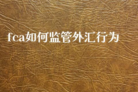 fca如何监管外汇行为_https://m.gongyisiwang.com_债券咨询_第1张