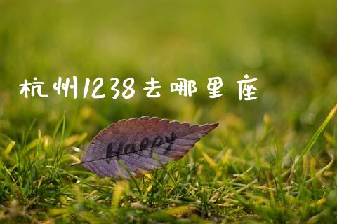 杭州1238去哪里座_https://m.gongyisiwang.com_财经时评_第1张