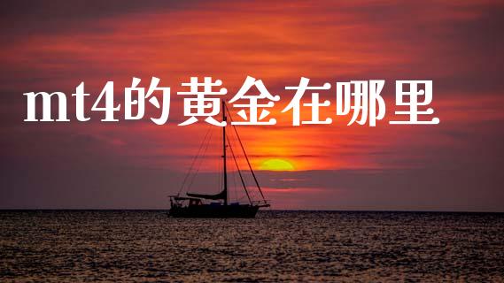 mt4的黄金在哪里_https://m.gongyisiwang.com_理财产品_第1张