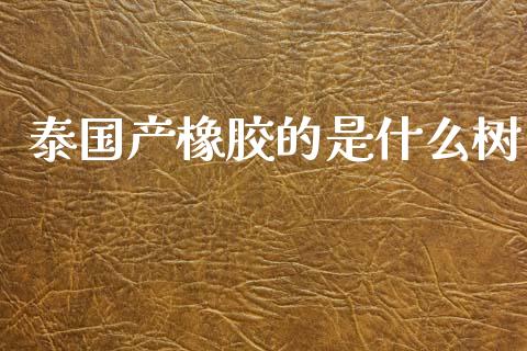 泰国产橡胶的是什么树_https://m.gongyisiwang.com_商业资讯_第1张