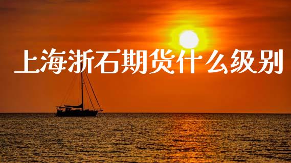 上海浙石期货什么级别_https://m.gongyisiwang.com_财经咨询_第1张