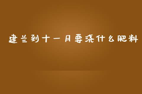 建兰到十一月要浇什么肥料_https://m.gongyisiwang.com_财经咨询_第1张