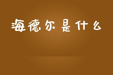 海德尔是什么_https://m.gongyisiwang.com_债券咨询_第1张