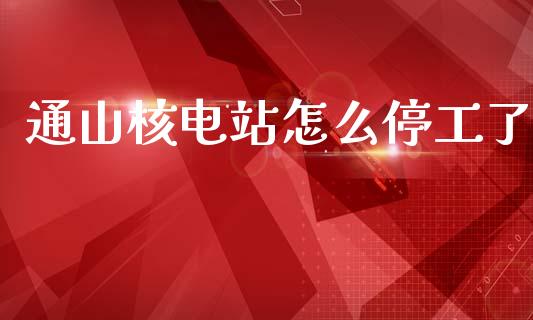 通山核电站怎么停工了_https://m.gongyisiwang.com_信托投资_第1张