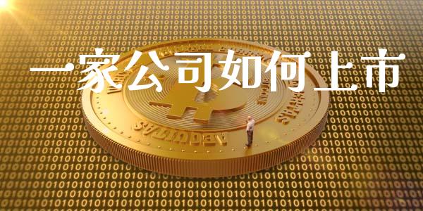 一家公司如何上市_https://m.gongyisiwang.com_财经咨询_第1张