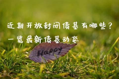 近期开放封闭债基有哪些？一览最新债基动态_https://m.gongyisiwang.com_财经咨询_第1张