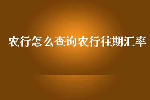 农行怎么查询农行往期汇率_https://m.gongyisiwang.com_债券咨询_第1张