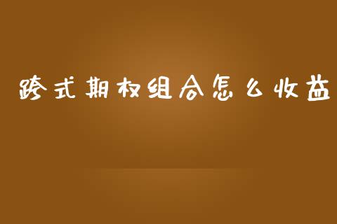 跨式期权组合怎么收益_https://m.gongyisiwang.com_保险理财_第1张